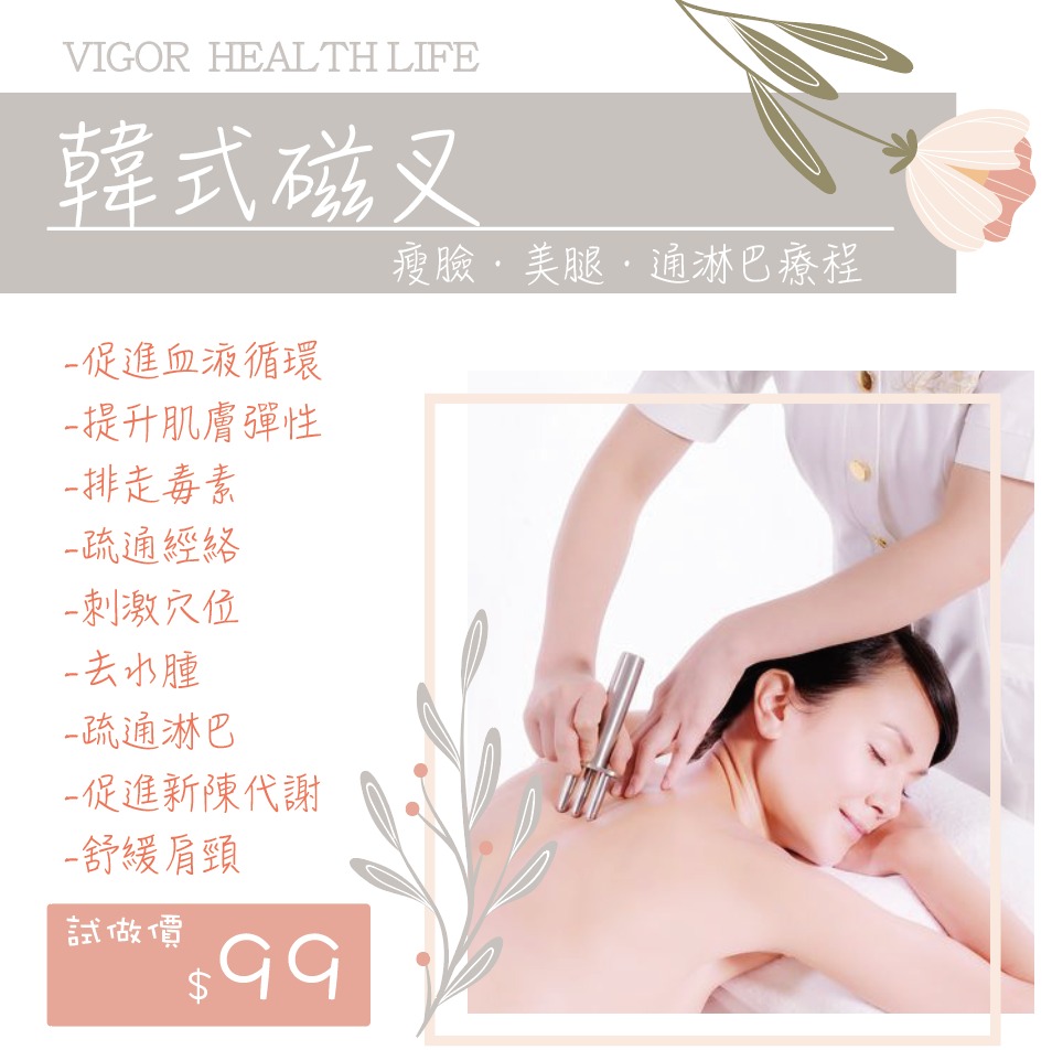 韓式磁叉